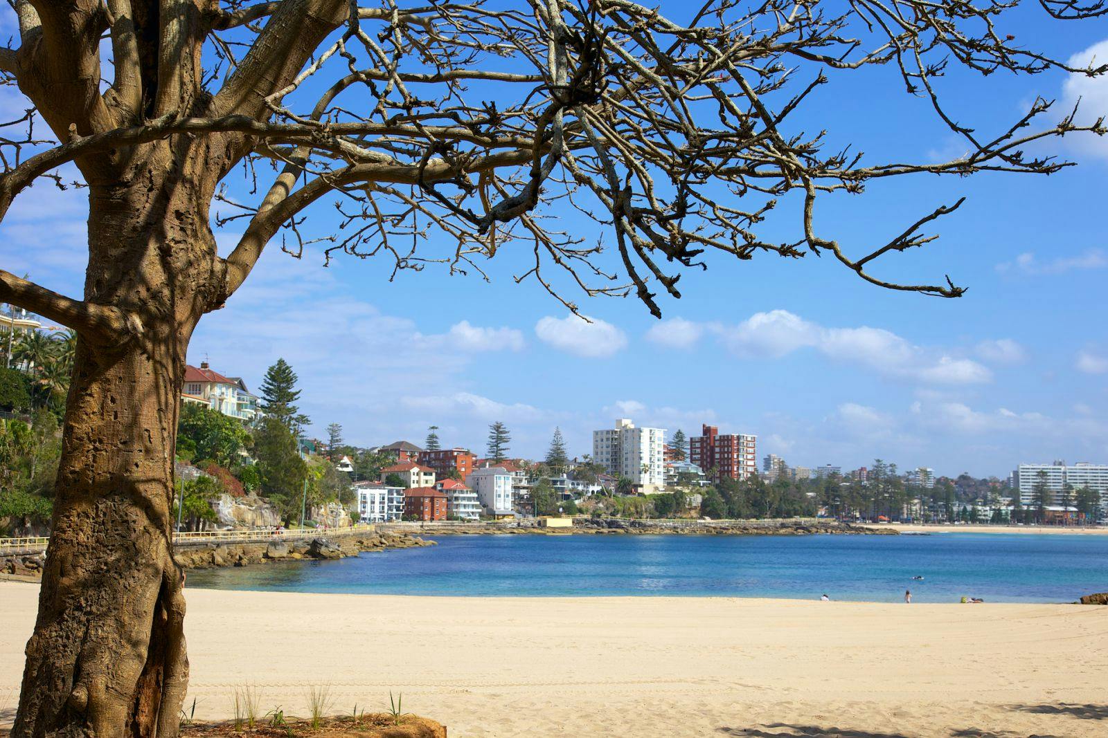 Picture of Manly